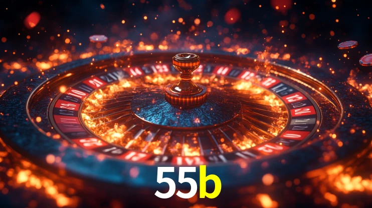 Premium Interface 55b