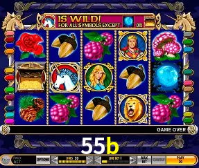 Descubra a Magia dos Jogos de Arcade no 55b