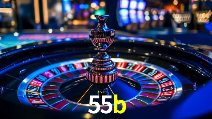 55b App Interface